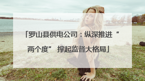 罗山县供电公司：纵深推进“两个度” 撑起监督大格局