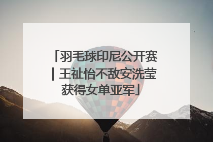 羽毛球印尼公开赛｜王祉怡不敌安洗莹 获得女单亚军