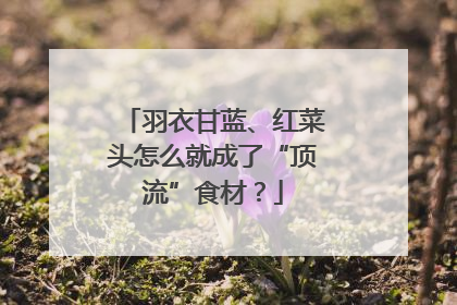 羽衣甘蓝、红菜头怎么就成了“顶流”食材？