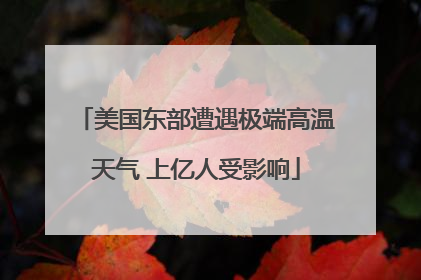 美国东部遭遇极端高温天气 上亿人受影响