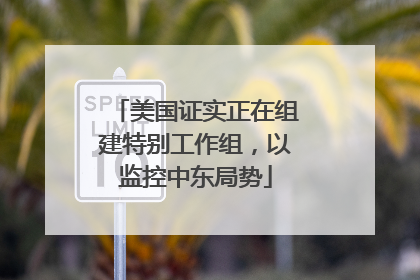 美国证实正在组建特别工作组，以监控中东局势