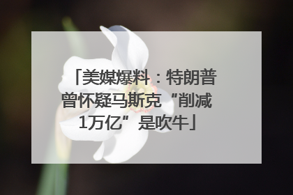 美媒爆料：特朗普曾怀疑马斯克“削减1万亿”是吹牛