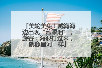 美轮美奂！威海海边出现“蓝眼泪”，游客：海浪打过来，就像星河一样