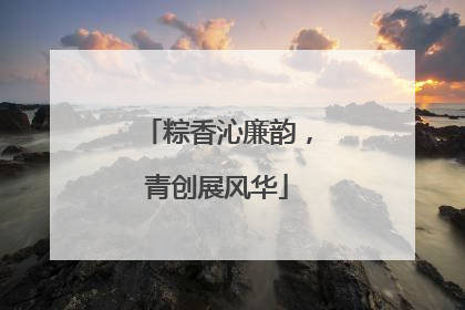 粽香沁廉韵，青创展风华