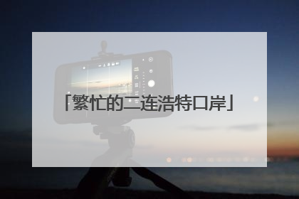 繁忙的二连浩特口岸
