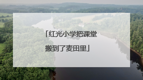 红光小学把课堂搬到了麦田里