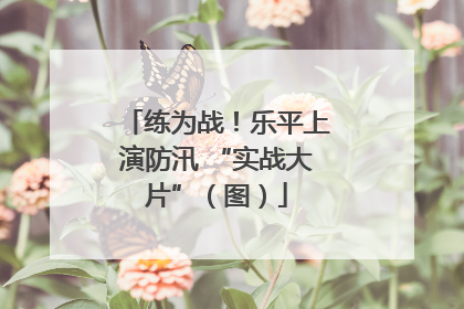 练为战！乐平上演防汛 “实战大片”（图）