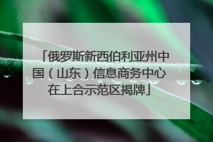 俄罗斯新西伯利亚州中国（山东）信息商务中心在上合示范区揭牌