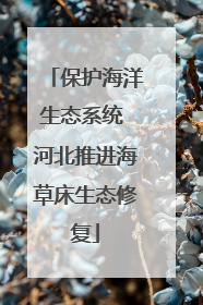 保护海洋生态系统 河北推进海草床生态修复