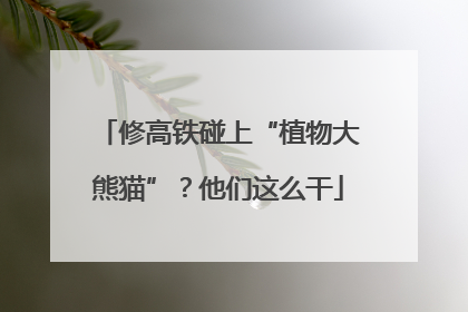 修高铁碰上“植物大熊猫”？他们这么干