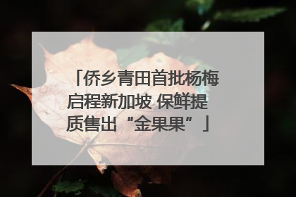 侨乡青田首批杨梅启程新加坡 保鲜提质售出“金果果”