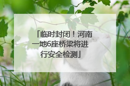 临时封闭！河南一地6座桥梁将进行安全检测
