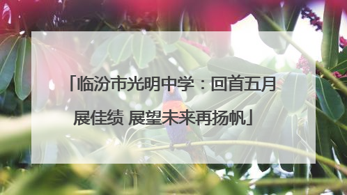 临汾市光明中学：回首五月展佳绩 展望未来再扬帆