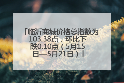 临沂商城价格总指数为103.38点，环比下跌0.10点（5月15日—5月21日）