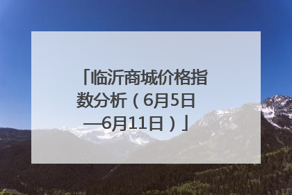 临沂商城价格指数分析（6月5日—6月11日）