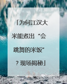 为何江汉大米能煮出“会跳舞的米饭”？现场揭秘