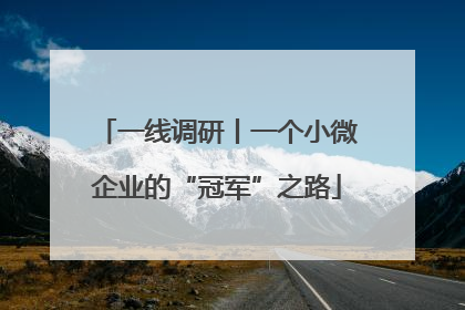 一线调研丨一个小微企业的“冠军”之路