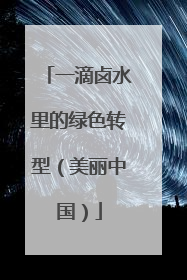 一滴卤水里的绿色转型（美丽中国）