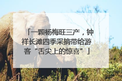 一颗杨梅旺三产，钟祥长滩四季采摘带给游客“舌尖上的惊喜”