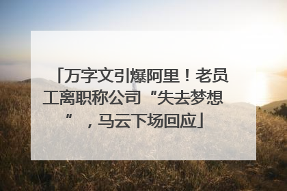 万字文引爆阿里！老员工离职称公司“失去梦想”，马云下场回应