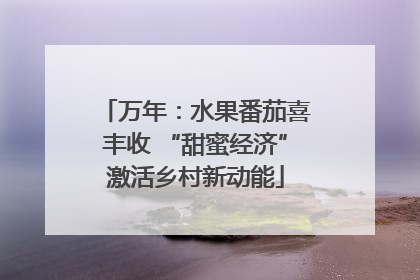 万年：水果番茄喜丰收 “甜蜜经济”激活乡村新动能