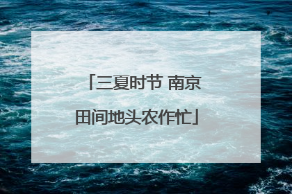 三夏时节 南京田间地头农作忙