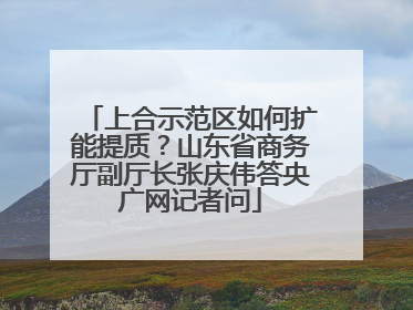 上合示范区如何扩能提质？山东省商务厅副厅长张庆伟答央广网记者问