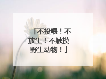 不投喂！不放生！不触摸野生动物！