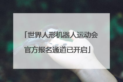 世界人形机器人运动会官方报名通道已开启