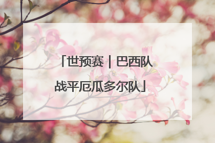 世预赛｜巴西队战平厄瓜多尔队