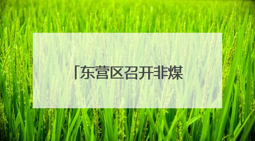 东营区召开非煤矿山、烟花爆竹批发企业主要负责人警示教育暨“面对面”谈话会议