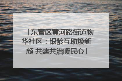 东营区黄河路街道物华社区：银龄互助焕新颜 共建共治暖民心
