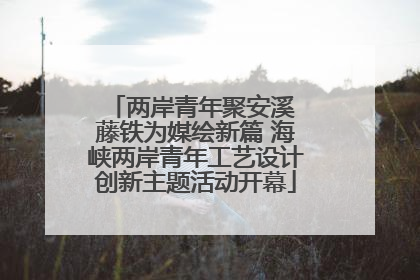 两岸青年聚安溪 藤铁为媒绘新篇 海峡两岸青年工艺设计创新主题活动开幕