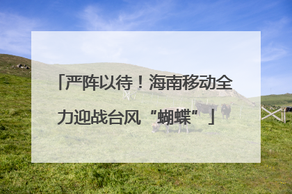 严阵以待!海南移动全力迎战台风“蝴蝶”