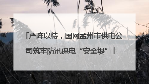 严阵以待，国网孟州市供电公司筑牢防汛保电“安全堤”
