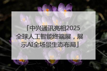中兴通讯亮相2025全球人工智能终端展，展示AI全场景生态布局