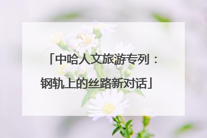 中哈人文旅游专列：钢轨上的丝路新对话
