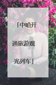 中哈开通旅游观光列车