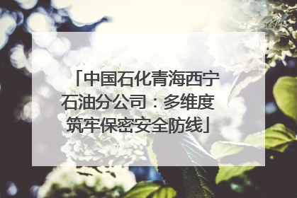 中国石化青海西宁石油分公司：多维度筑牢保密安全防线