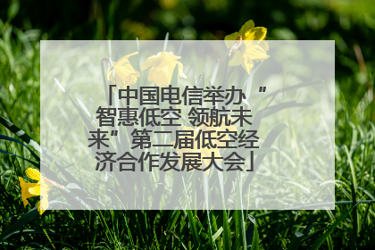 中国电信举办“智惠低空 领航未来”第二届低空经济合作发展大会