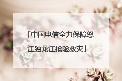 中国电信全力保障怒江独龙江抢险救灾