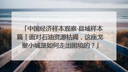 中国经济样本观察·县域样本篇丨面对石油资源枯竭，这座戈壁小城是如何走出困境的？