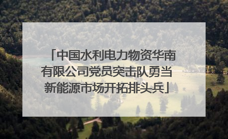 中国水利电力物资华南有限公司党员突击队勇当新能源市场开拓排头兵