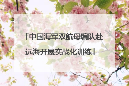 中国海军双航母编队赴远海开展实战化训练