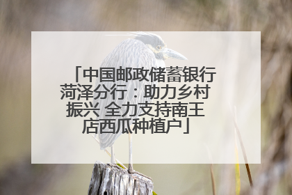 中国邮政储蓄银行菏泽分行：助力乡村振兴 全力支持南王店西瓜种植户