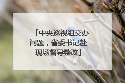 中央巡视组交办问题，省委书记赴现场督导整改