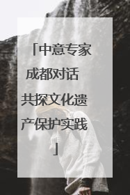 中意专家成都对话 共探文化遗产保护实践