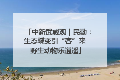 中新武威观｜民勤：生态蝶变引“客”来 野生动物乐逍遥