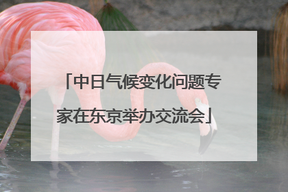中日气候变化问题专家在东京举办交流会