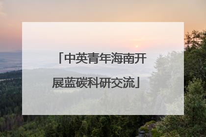 中英青年海南开展蓝碳科研交流